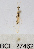  ( - YB-BCI27462)  @11 [ ] No Rights Reserved  Unspecified Unspecified
