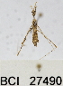  ( - YB-BCI27490)  @11 [ ] No Rights Reserved  Unspecified Unspecified