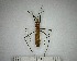  ( - YB-BCI179350)  @11 [ ] No Rights Reserved  Unspecified Unspecified