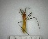  ( - YB-BCI181474)  @11 [ ] No Rights Reserved  Unspecified Unspecified