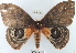  ( - YB-BCI11710)  @13 [ ] No Rights Reserved  Unspecified Unspecified