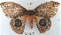  ( - YB-BCI14515)  @13 [ ] No Rights Reserved  Unspecified Unspecified
