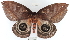  ( - YB-BCI18950)  @14 [ ] No Rights Reserved  Unspecified Unspecified
