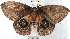  ( - YB-BCI2836)  @13 [ ] No Rights Reserved  Unspecified Unspecified