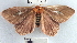  ( - YB-BCI1018)  @13 [ ] No Rights Reserved  Unspecified Unspecified