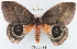  ( - YB-BCI11650)  @14 [ ] No Rights Reserved  Unspecified Unspecified