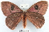  ( - YB-BCI11650)  @13 [ ] No Rights Reserved  Unspecified Unspecified