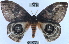  ( - YB-BCI41828)  @13 [ ] No Rights Reserved (2011) Unspecified Unspecified