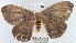  ( - YB-BCI1337)  @13 [ ] No Rights Reserved  Unspecified Unspecified