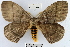  ( - YB-BCI17196)  @14 [ ] No Rights Reserved  Unspecified Unspecified