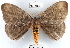  ( - YB-BCI17661)  @14 [ ] No Rights Reserved  Unspecified Unspecified
