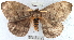  ( - YB-BCI2029)  @13 [ ] No Rights Reserved  Unspecified Unspecified