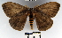  ( - YB-BCI33828)  @13 [ ] No Rights Reserved  Unspecified Unspecified