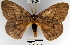  ( - YB-BCI38835)  @11 [ ] No Rights Reserved  Unspecified Unspecified