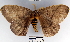  ( - YB-BCI40052)  @13 [ ] No Rights Reserved  Unspecified Unspecified