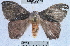  ( - YB-BCI33243)  @12 [ ] No Rights Reserved (2011) Unspecified Unspecified