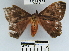  ( - YB-BCI45181)  @12 [ ] No Rights Reserved  Unspecified Unspecified