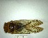  ( - YB-BCI192858)  @11 [ ] No Rights Reserved  Unspecified Unspecified