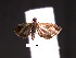 ( - SG-BCISP-5088)  @12 [ ] No Rights Reserved (2013) Unspecified NA