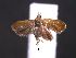  (Talponia sp. lep324SG - SG-BCISP-5587)  @13 [ ] No Rights Reserved (2013) Unspecified NA