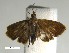  ( - SG-BCISP1416)  @12 [ ] Unspecified (default): All Rights Reserved  Unspecified Unspecified