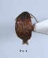  ( - SG-BCISP1526)  @12 [ ] Unspecified (default): All Rights Reserved  Unspecified Unspecified