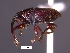  (Geraeus - SG-BCISP-1845)  @14 [ ] No Rights Reserved (2013) Unspecified NA