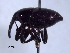  ( - SG-BCISP1939)  @14 [ ] Unspecified (default): All Rights Reserved  Unspecified Unspecified