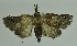 ( - SG-BCISP2043)  @12 [ ] Unspecified (default): All Rights Reserved  Unspecified Unspecified