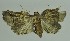  ( - SG-BCISP2044)  @12 [ ] Unspecified (default): All Rights Reserved  Unspecified Unspecified