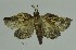  ( - SG-BCISP2045)  @12 [ ] Unspecified (default): All Rights Reserved  Unspecified Unspecified