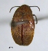  ( - SG-BCISP2237)  @11 [ ] Unspecified (default): All Rights Reserved  Unspecified Unspecified