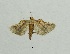  ( - SG-BCISP-2433)  @12 [ ] No Rights Reserved (2013) Unspecified NA