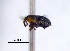  (Geraeus sp. cur64SG - SG-BCISP2601)  @12 [ ] Unspecified (default): All Rights Reserved  Unspecified Unspecified