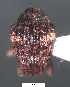  ( - SG-BCISP-3741)  @12 [ ] No Rights Reserved (2013) Unspecified NA