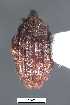  ( - SG-BCISP-3742)  @11 [ ] No Rights Reserved (2013) Unspecified NA
