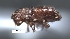 ( - SG-BCISP-5197)  @13 [ ] No Rights Reserved (2013) Unspecified NA