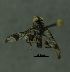  ( - SG-BCISP-7086)  @12 [ ] No Rights Reserved (2014) Unspecified n/a