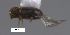  ( - SG-BCISP-7473)  @11 [ ] No Rights Reserved (2015) Unspecified n/a