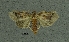  ( - SG-BCISP-8199)  @12 [ ] No Rights Reserved (2013) Unspecified n/a