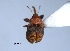  ( - SG-BCISP877)  @13 [ ] Unspecified (default): All Rights Reserved  Unspecified Unspecified