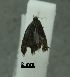  ( - SG-BCISP-9171)  @11 [ ] No Rights Reserved (2014) Unspecified n/a