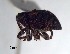  ( - SG-BCISP933)  @12 [ ] Unspecified (default): All Rights Reserved  Unspecified Unspecified