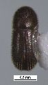  ( - SG-BCISP-9987)  @12 [ ] No Rights Reserved (2015) Unspecified n/a
