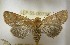  ( - LEP-SS-00738)  @11 [ ] No Rights Reserved (2018) Stefano Scalercio Consiglio per la ricerca in agricoltura e l'analisi dell'economia agraria