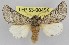  ( - LEP-SS-00456)  @15 [ ] No Rights Reserved (2016) Unspecified Dip. Agricoltura, Ambiente, Alimenti - UNIMOL