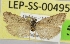  ( - LEP-SS-00495)  @13 [ ] No Rights Reserved (2016) Unspecified Dip. Agricoltura, Ambiente, Alimenti - UNIMOL