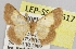  ( - LEP-SS-00517)  @13 [ ] No Rights Reserved (2016) Unspecified Dip. Agricoltura, Ambiente, Alimenti - UNIMOL