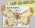  ( - LEP-SS-00520)  @13 [ ] No Rights Reserved (2016) Unspecified Dip. Agricoltura, Ambiente, Alimenti - UNIMOL