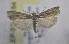  ( - LEP-SS-00184)  @14 [ ] No Rights Reserved (2015) Unspecified Unità di Ricerca per la Selvicoltura in Ambiente Mediterraneo
